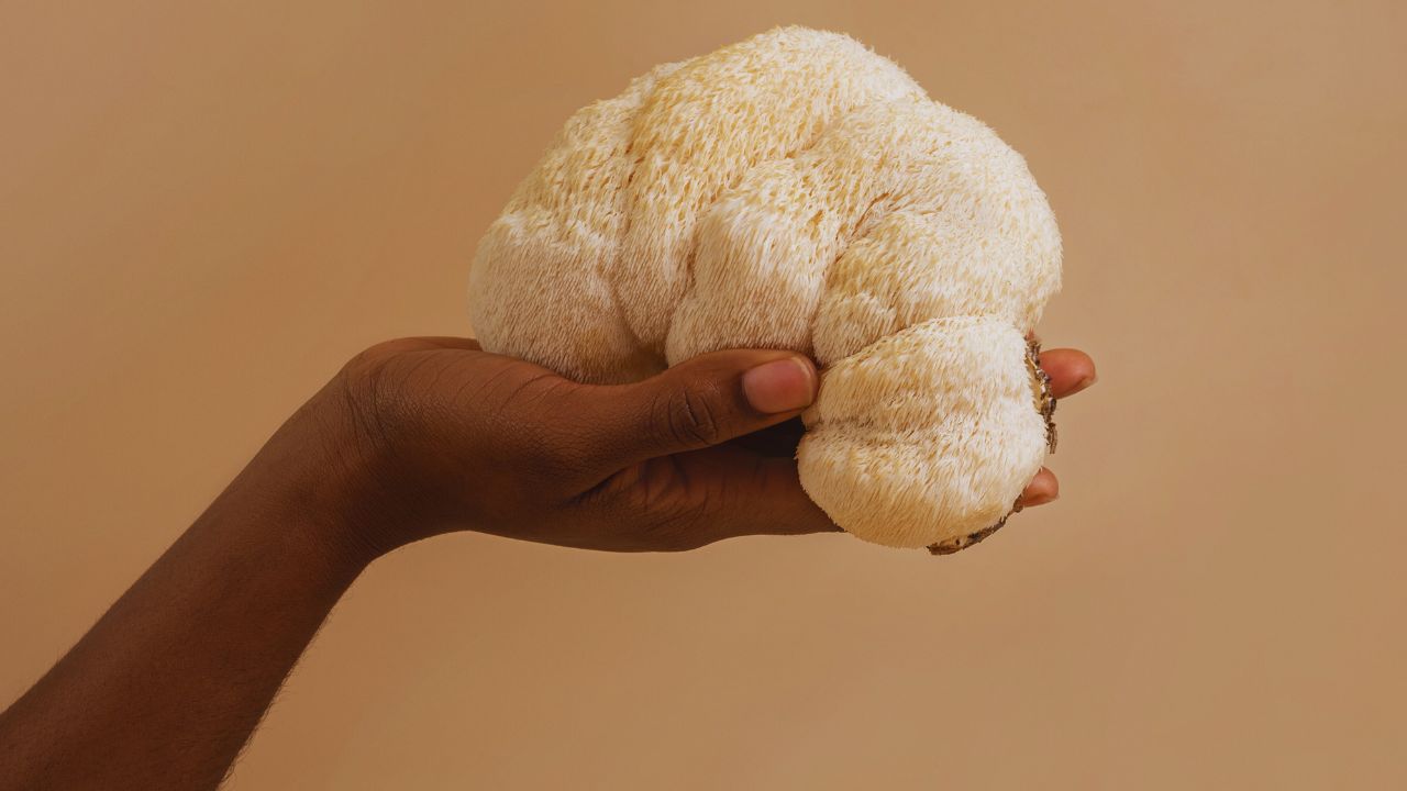Lion’s Mane Mushroom Stacking: The Ultimate Brain Booster