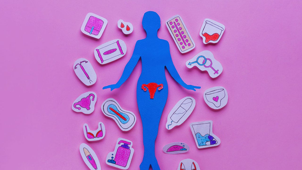 Your Menstrual Cycle Phases Explained: Energy, Nutrition, and Hormones