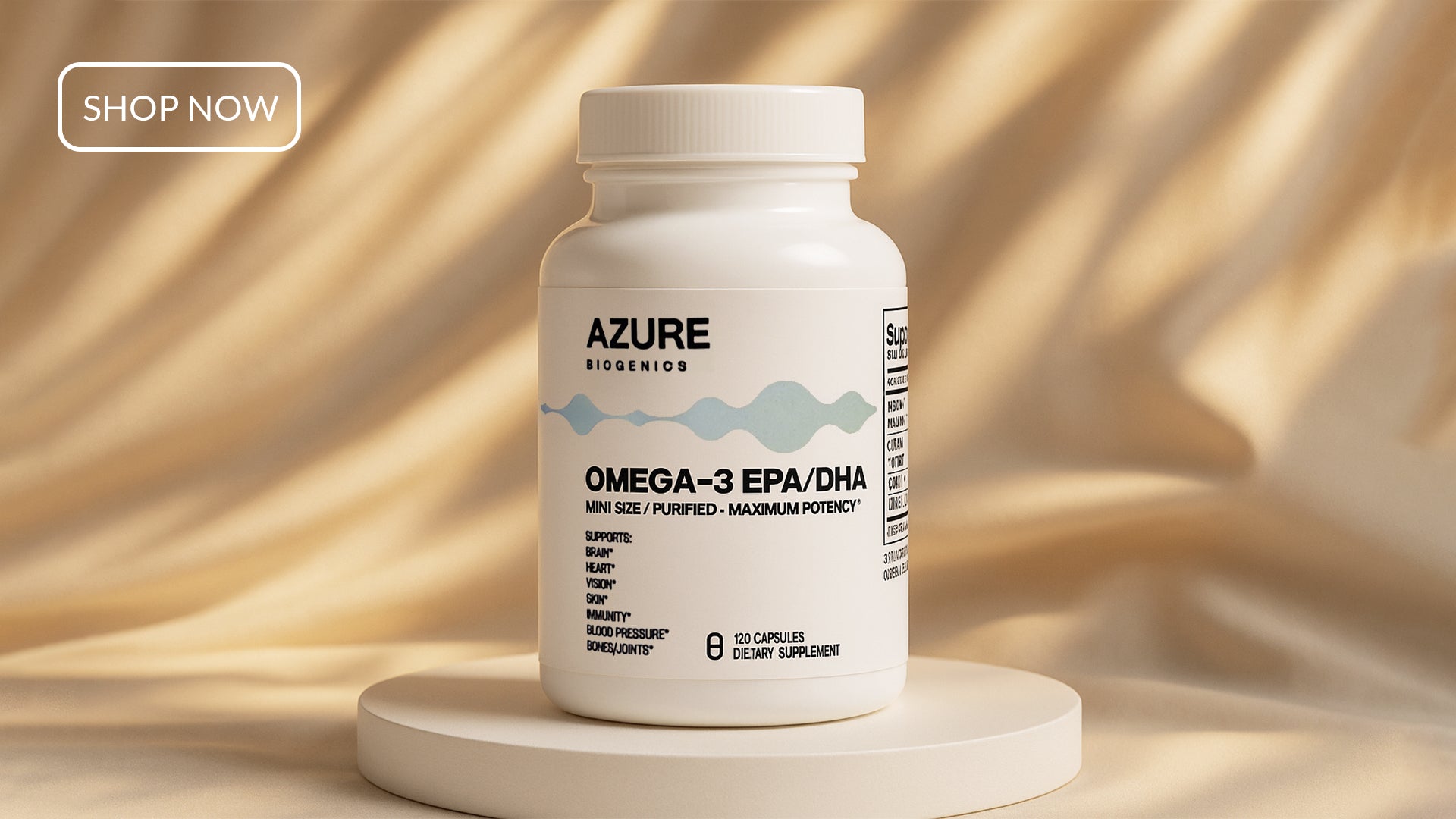 Omega-3 Fish Oil – High Potency EPA/DHA - Mini Softgels - Supports Brain, Heart, Vision, Skin, Immunity, Blood Pressure & Bones/Joint*